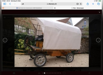 Carriage / Touring Carriage