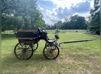 Horse-drawn carriage / Wagonette