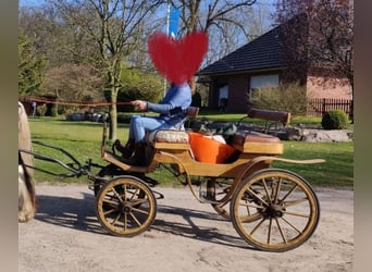 Hunting Carriage