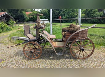 Hunting Carriage