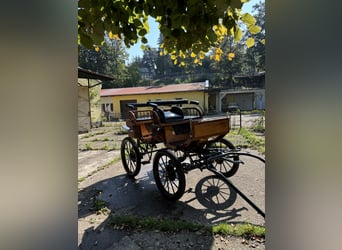 Hunting Cart