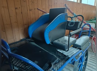 Kühnle 4-Horse Marathon Carriage