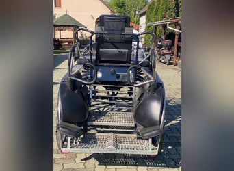 KÜHNLE MARATHON TEAM CARRIAGE