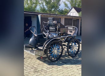 KÜHNLE MARATHON TEAM CARRIAGE