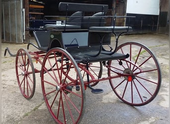 Kühnle Single-Seater Dressage Phaeton