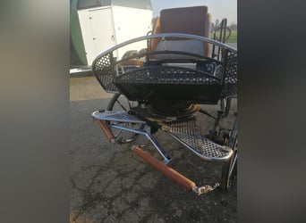 Top-Class Marathon Carriage