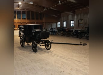 Vis-à-Vis carriage, newly restored, 4-horse team, leather harness and trunk