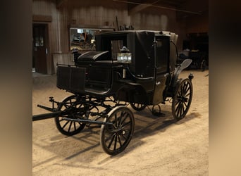 Vis-à-Vis carriage, newly restored, 4-horse team, leather harness and trunk
