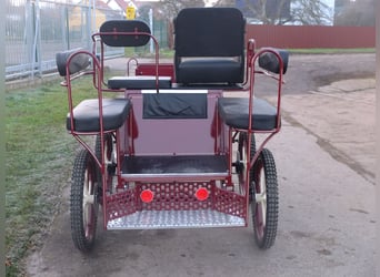 Brand new pony and small horse carriage