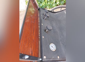 Dressage Carriage for Ponies
