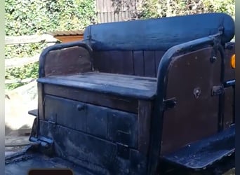 Pony carriage