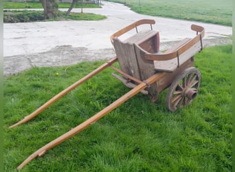 Pony carriage