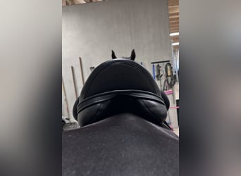 Envy Motion 17-inch dressage saddle