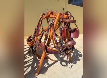 Two-pony marathon harness