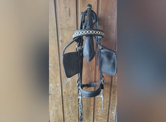 Bridle and driving rein