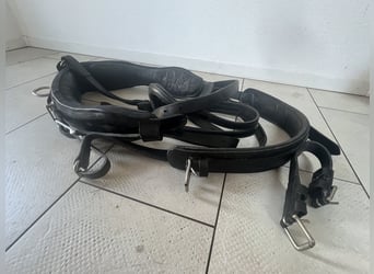 Horse-drawn carriage harness