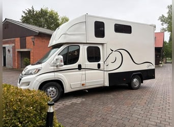 Horse transporter – for 2 horses, 7 seats