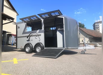 Exhibition model at a special price: 4-horse trailer Maxi 4, diagonal configuration