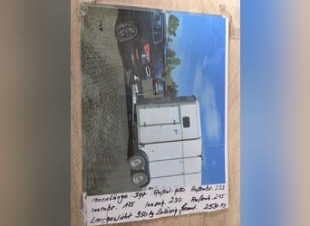 Horse Trailer