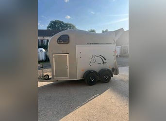 Liberté Gold 2 Horse