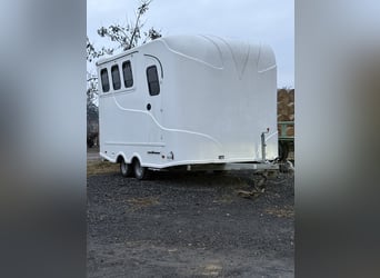 Steinsberger 3-Horse Trailer