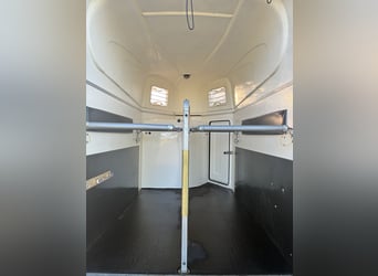 Humbaur Atis horse trailer, fully polycarbonate sides with aluminum floor