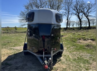 Pair of horse trailers in excellent condition for sale