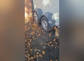 Westfalia Jupiter 2-horse trailer