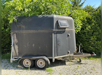 Pair of horses for restoration