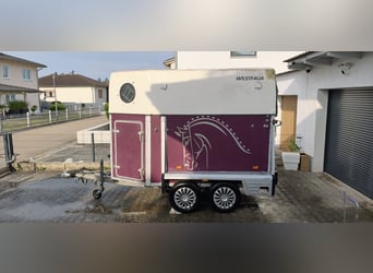Well-maintained Westphalian double horse trailer – Fully refurbished and with a new TÜV.