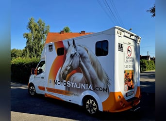 Carriage for 2 horses – Excellent condition