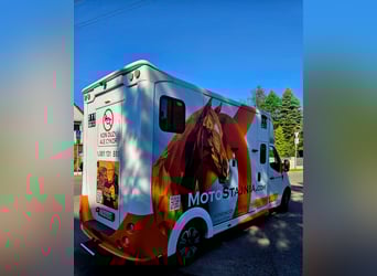 Carriage for 2 horses – Excellent condition