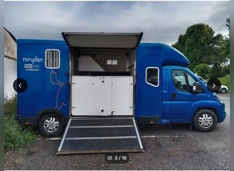 Equitrek – Soni Peugeot Boxer Horse Van