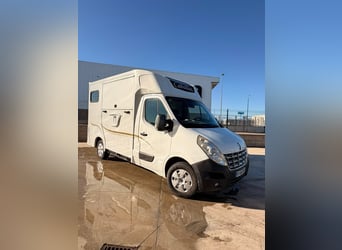 Horse trailer for Renault Master 125 HP, year 2012