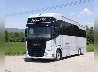 Horse Transporter DAF XF410 Horsebox with Living Quarters