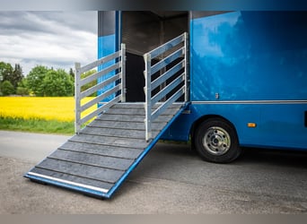 MAN TGL 8.180 horse transporter