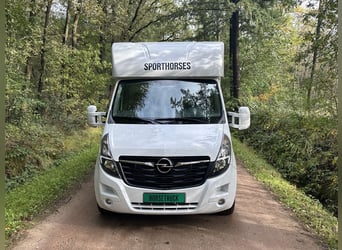 Pferde Transporter bij dec 2020 nur 9800 km Hengstversion