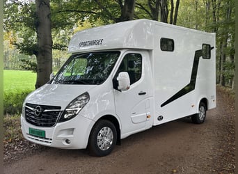 Pferde Transporter bij dec 2020 nur 9800 km Hengstversion