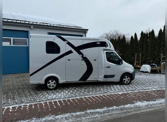 Pferdetransporter Theault Proteo Renault Master Automatik 150 PS Klima Horsetruck Horsevan Nova Frei