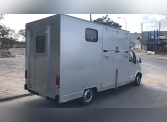 Renault Master 2,8 dci  para 2 caballos 