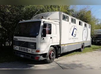 Transport van for 8 horses with a small living area
