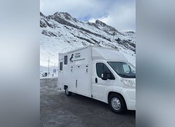 Transporter for 2 horses