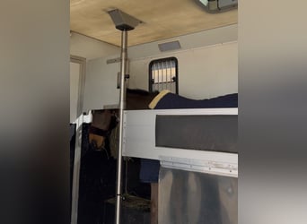 Transporter for 2 horses