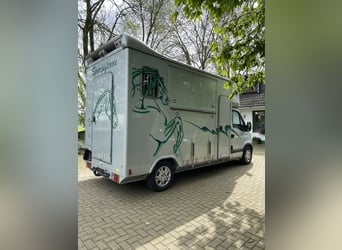 Böckmann horsebox