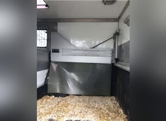 Böckmann horsebox