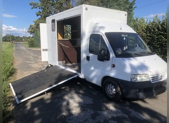 Fiat Ducato 12999.-