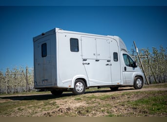 FIAT - DUCATO (2020)