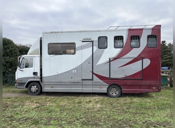 Horse transport truck, 7.5 tons, for sale