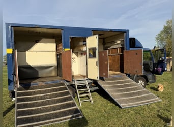 Horse transporter MAN up to 7.5 tons for 4 horses