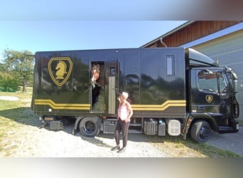 Horsebox with living quarters